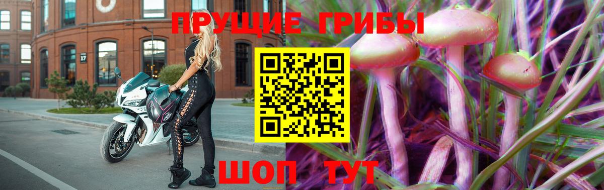 Галлюциногенные грибы Magic Shrooms Тобольск